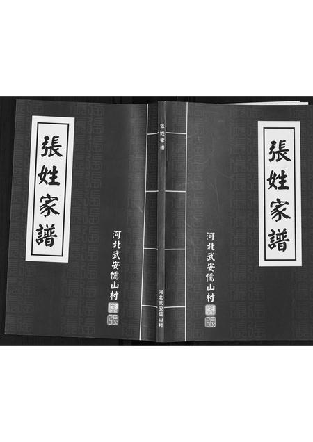 河北张氏-武安儒山村张姓家谱.pdf电子版插图