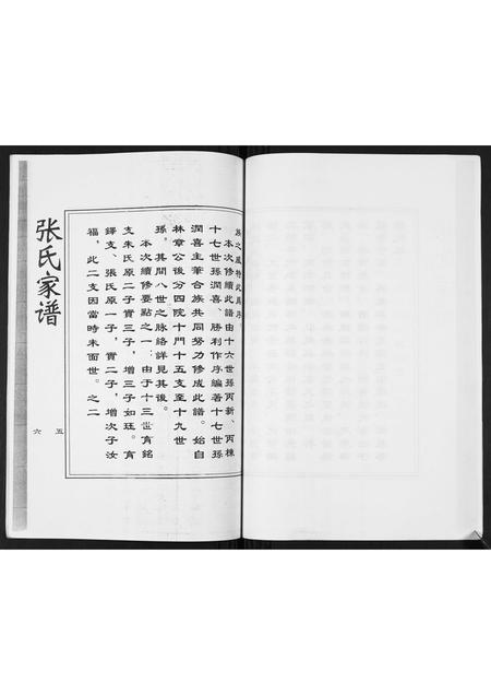 河北张氏-清河派张氏西街城区家族世系谱.pdf电子版插图5