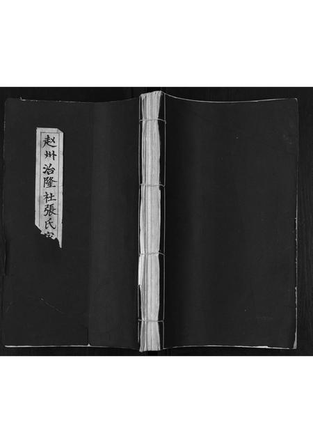 河北张氏-赵州治隆社张氏家谱.pdf电子版插图