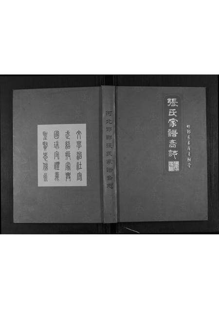 河北张氏-邯郸东辛庄勇胜堂张氏家谱裔志.pdf电子版插图