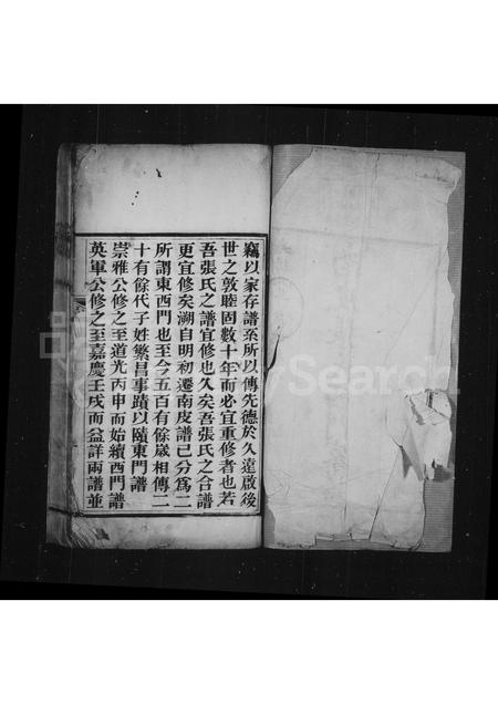 河北张氏-南皮张氏西门家谱.pdf电子版插图3
