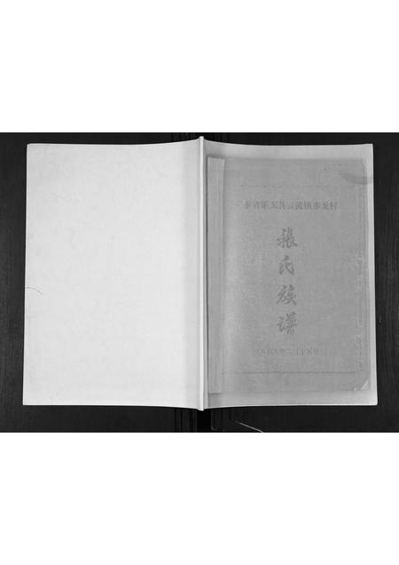 海南张氏-赤龙张氏族谱.pdf电子版插图