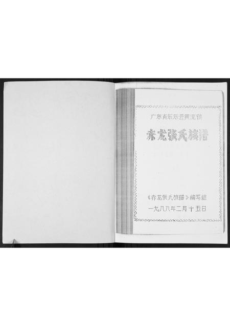 海南张氏-赤龙张氏族谱.pdf电子版插图1