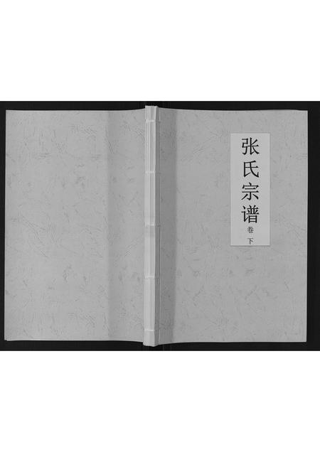海南张氏-张氏宗谱[上下卷].pdf电子版插图