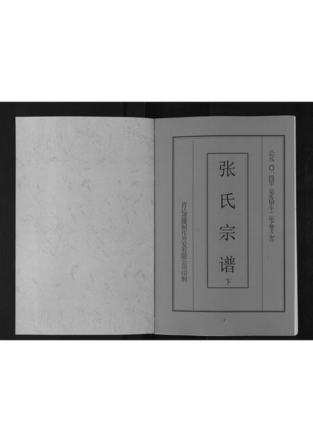 海南张氏-张氏宗谱[上下卷].pdf电子版插图1