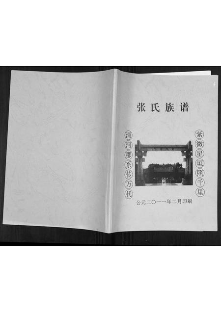 海南张氏-张氏族谱.pdf电子版插图