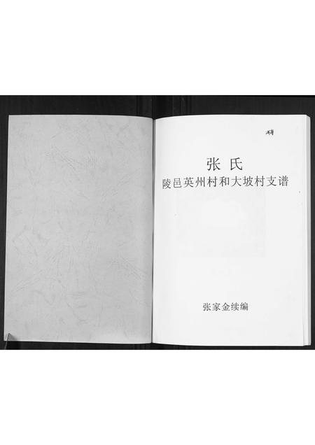 海南张氏-张氏族谱.pdf电子版插图1