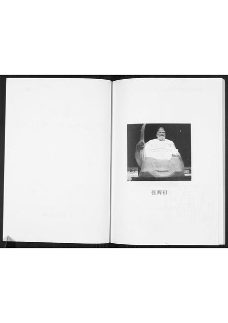 海南张氏-张氏族谱.pdf电子版插图2