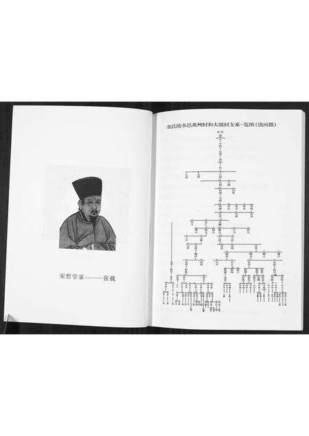 海南张氏-张氏族谱.pdf电子版插图3