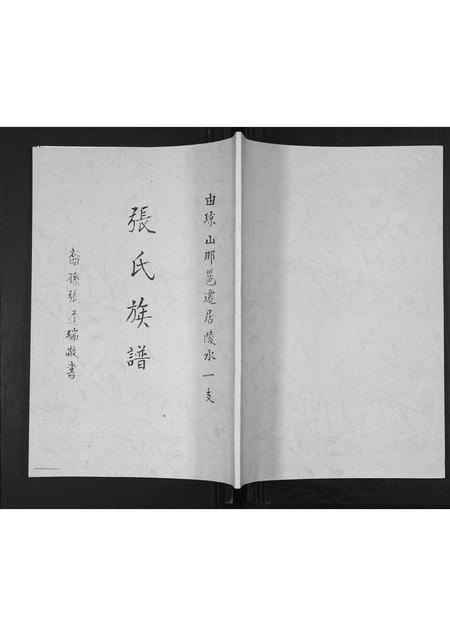 海南张氏-张氏族谱.pdf电子版插图