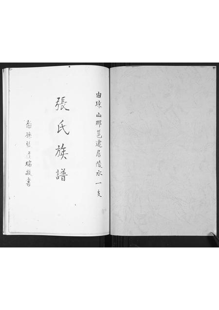 海南张氏-张氏族谱.pdf电子版插图1