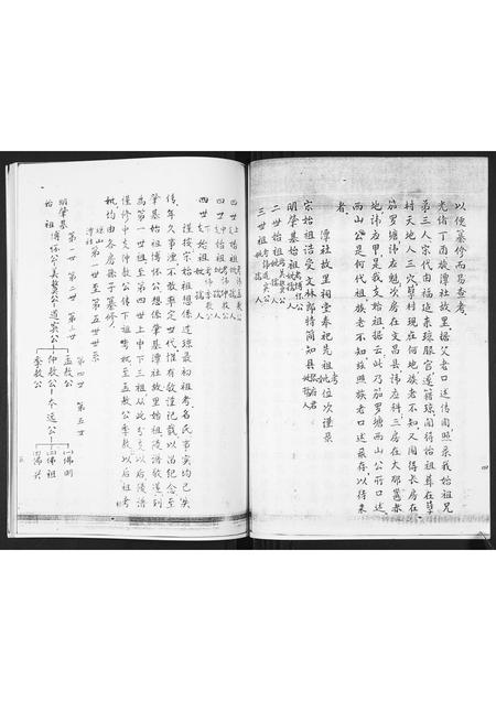 海南张氏-张氏族谱.pdf电子版插图5