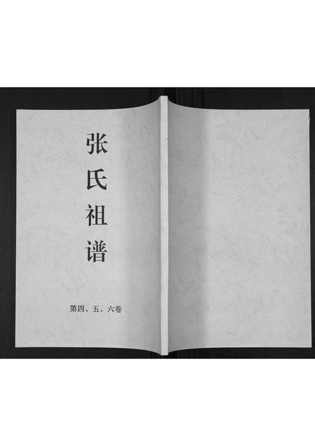 海南张氏-张氏族谱[25卷].pdf电子版插图