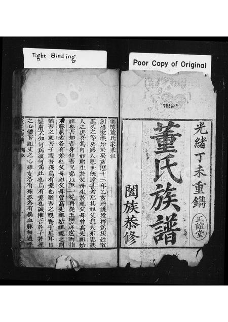 山东董氏-董氏族谱(别名：乐陵董氏家乘).pdf电子版插图1