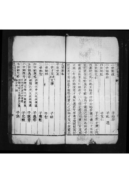 山东董氏-董氏族谱(别名：乐陵董氏家乘).pdf电子版插图5