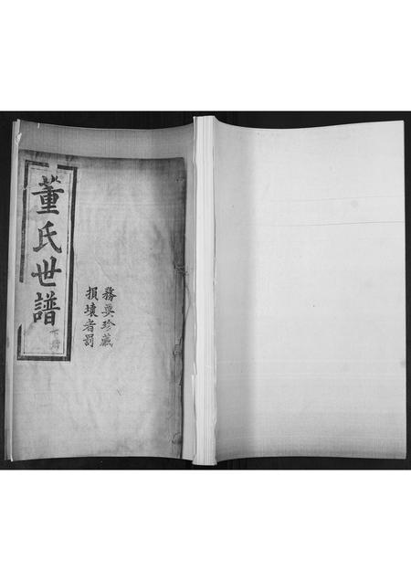 山东董氏-董氏世谱[不分卷].pdf电子版插图