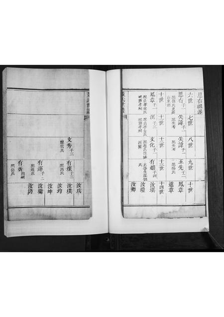 山东董氏-董氏世谱[不分卷].pdf电子版插图1
