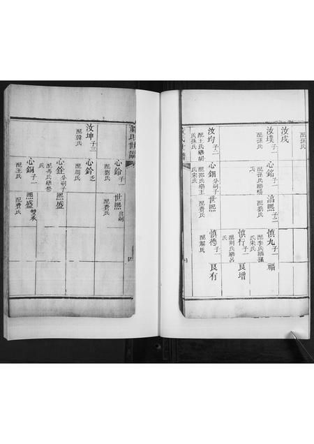 山东董氏-董氏世谱[不分卷].pdf电子版插图4