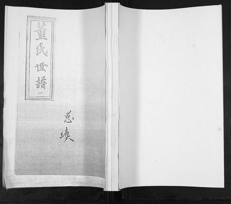 山东董氏-董氏世谱[不分卷].pdf电子版插图