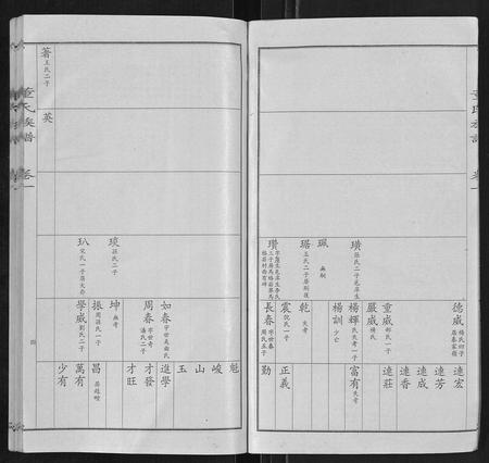 山东董氏-董氏宗谱.pdf电子版插图4