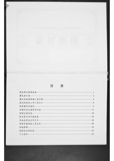 山东董氏-董氏家谱.pdf电子版插图2