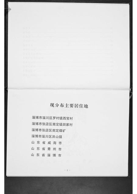 山东董氏-董氏家谱.pdf电子版插图4