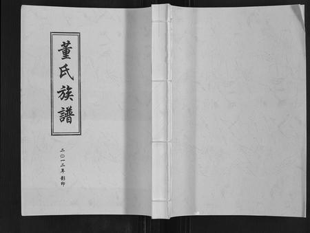 山东董氏-董氏族谱.pdf电子版插图