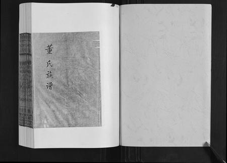 山东董氏-董氏族谱.pdf电子版插图1