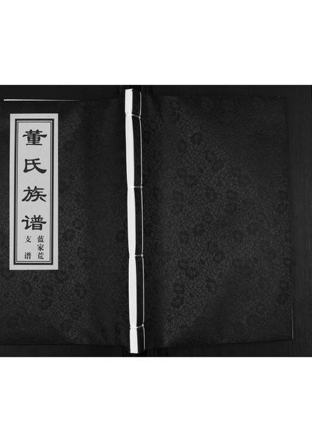 山东董氏-董氏族谱.即墨市蓝家荒支谱[不分卷].pdf电子版插图