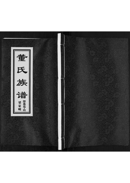 山东董氏-董氏族谱[不分卷].pdf电子版插图