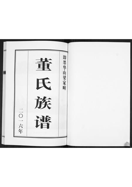 山东董氏-董氏族谱[不分卷].pdf电子版插图1