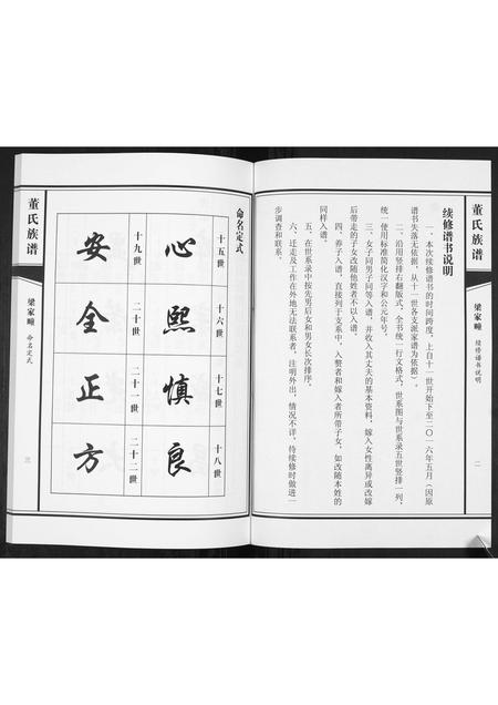山东董氏-董氏族谱[不分卷].pdf电子版插图5
