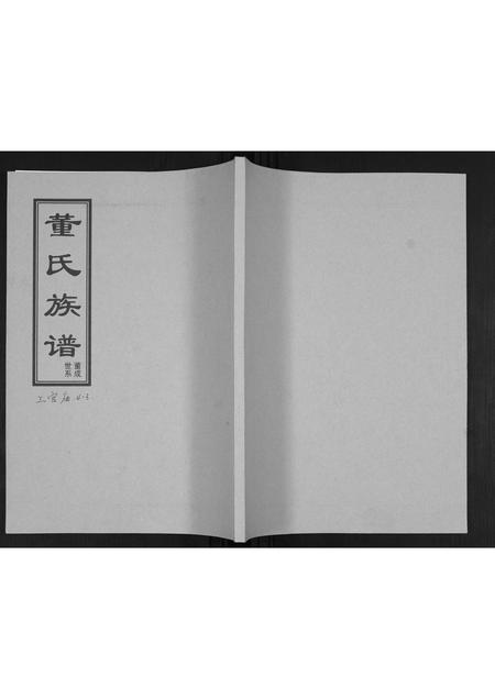 山东董氏-董氏族谱[不分卷].pdf电子版插图
