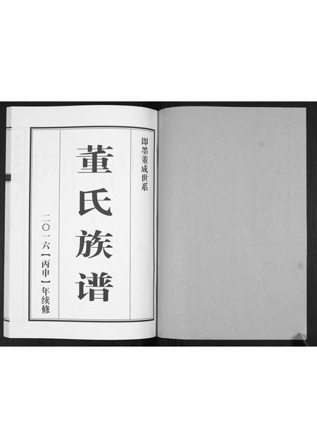 山东董氏-董氏族谱[不分卷].pdf电子版插图1