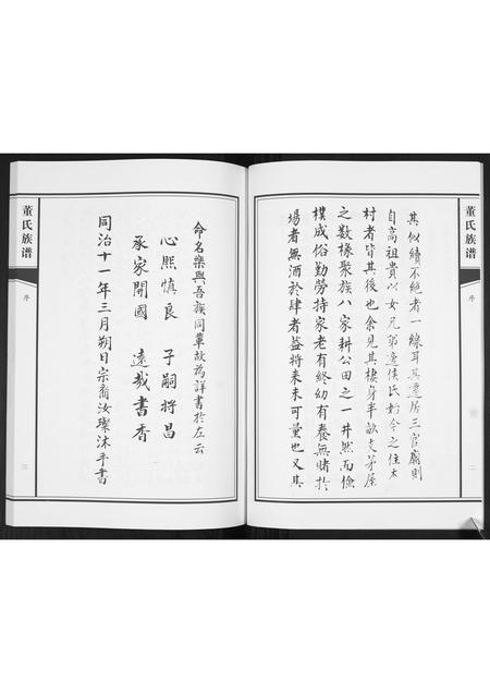 山东董氏-董氏族谱[不分卷].pdf电子版插图4