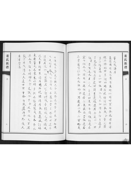 山东董氏-董氏族谱[不分卷].pdf电子版插图5