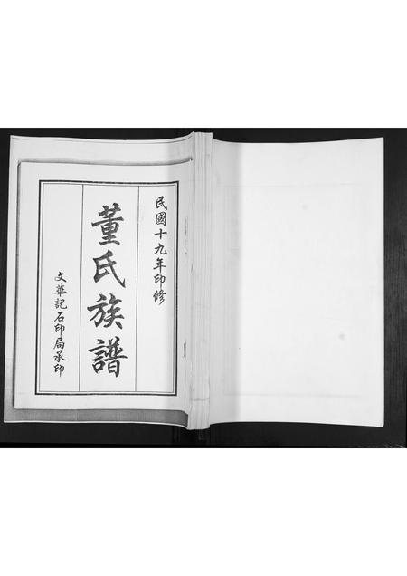 山东董氏-董氏族谱[不分卷].pdf电子版插图