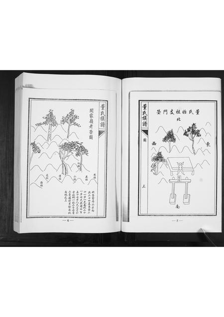 山东董氏-董氏族谱[不分卷].pdf电子版插图3