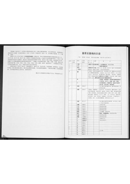 广西董氏-董氏宗谱[不分卷].pdf电子版插图2
