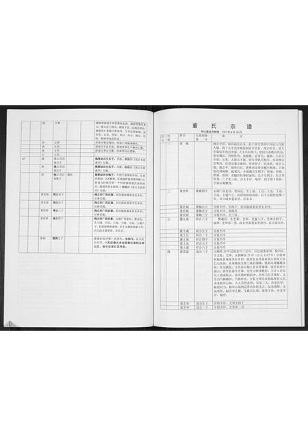 广西董氏-董氏宗谱[不分卷].pdf电子版插图5