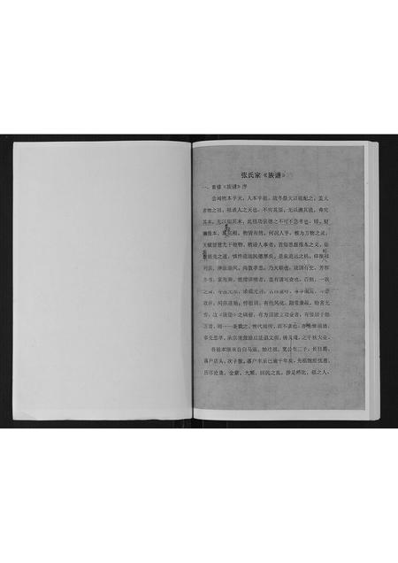 甘肃张氏-店头张氏族谱.pdf电子版插图2