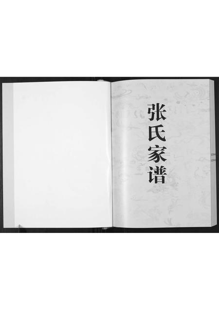 贵州张氏-平关张氏支谱.pdf电子版插图1