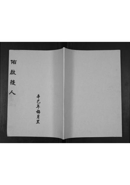 贵州张氏-[张氏]佑启后人.pdf电子版插图