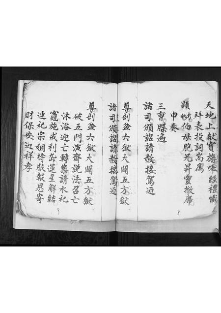贵州张氏-[张氏]佑启后人.pdf电子版插图4