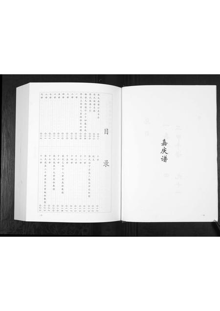 贵州张氏-张氏宗谱.pdf电子版插图4