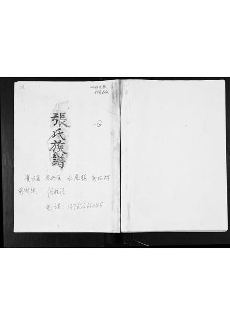 贵州张氏-张氏族谱.pdf电子版插图
