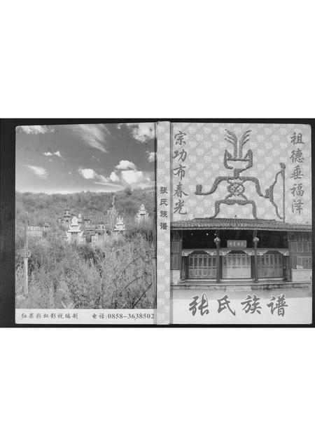 贵州张氏-张氏族谱.pdf电子版插图