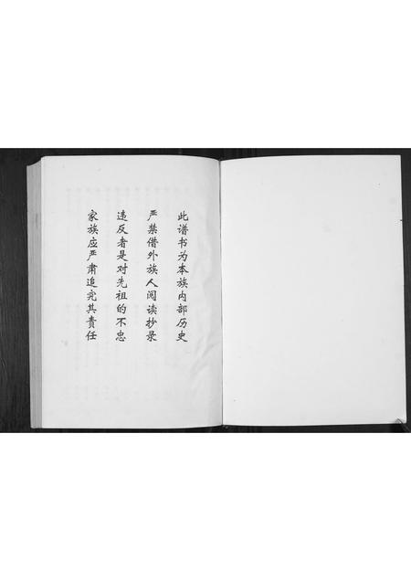 贵州张氏-张氏族谱.早公支系.pdf电子版插图1