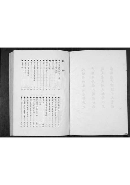 贵州张氏-张氏族谱.早公支系.pdf电子版插图2