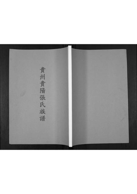 贵州张氏-贵州贵阳张氏族谱.pdf电子版插图